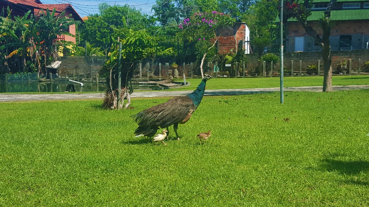 Pousada Pavao Branco Florianópolis 외부 사진