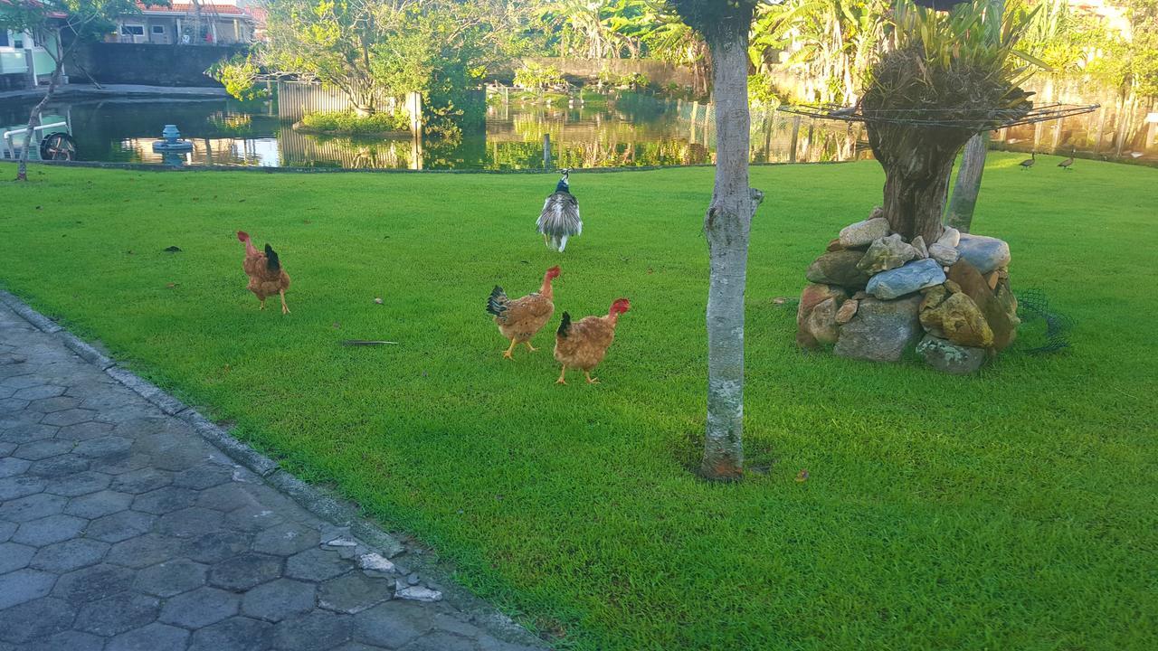 Pousada Pavao Branco Florianópolis 외부 사진
